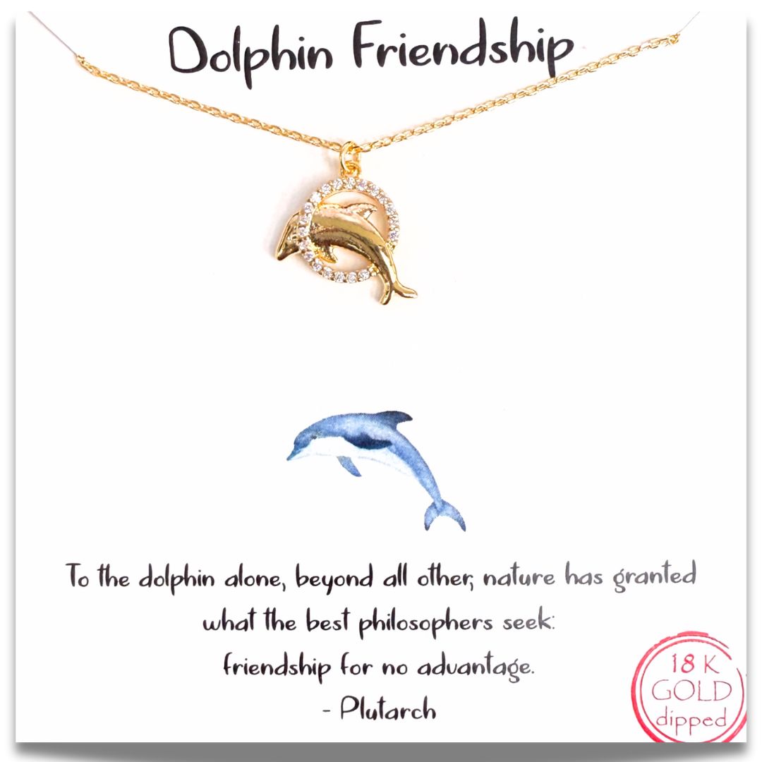 Dolphin Friendship Necklace